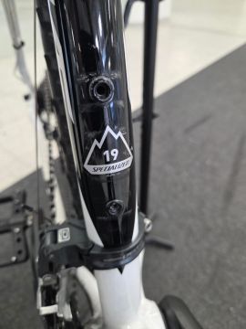 Specialized Carve Expert 29 L-koko käytetty