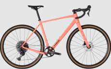 Trek Checkpoint ALR 4 Gen 3 (2026) - Living Coral